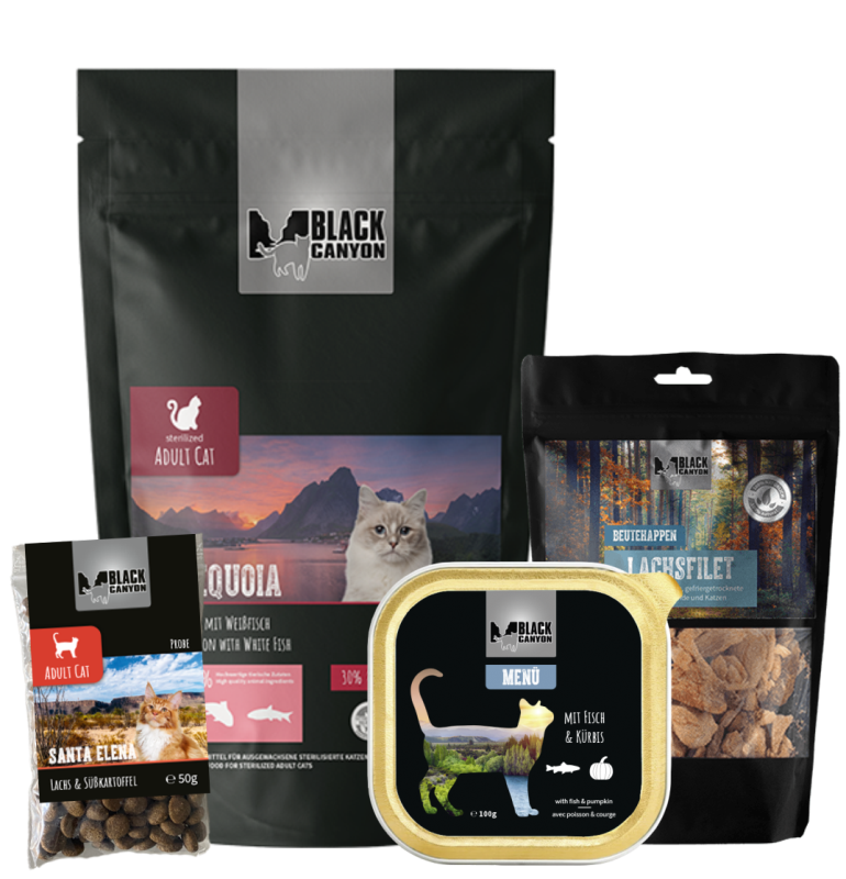 BLACK CANYON Aktions-Bundle "Fisch" für Katzen